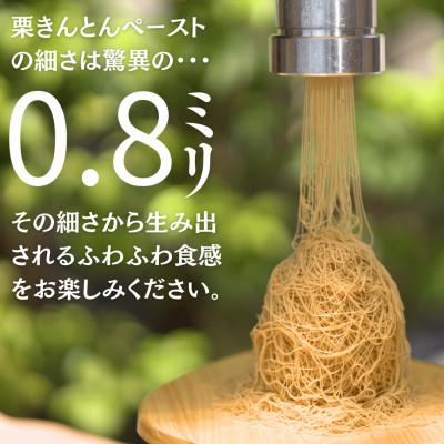 ふるさと納税 中津川市 元祖 栗きんとんモンブラン : さとふる - 通販