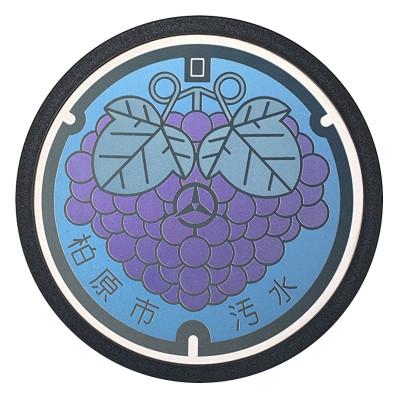ふるさと納税 柏原市 チタン製ミニチュアマンホール[柏原市]ぶどう1枚