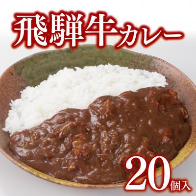 ふるさと納税 笠松町 飛騨牛カレー20個セット