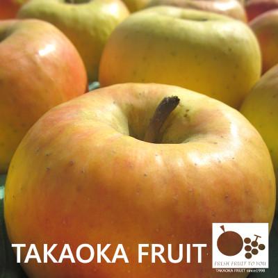 ふるさと納税 中野市 長野県産ぐんま名月 贈答用 大玉5〜6玉入り[高丘フルーツ]