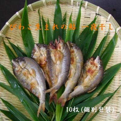 ふるさと納税 長浜市 びわこ生まれの鮎 一夜干し 10枚(個別真空パック包装)無添加 背骨なし