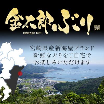 ふるさと納税 延岡市 宮崎産 金太郎ぶりフィレ 半身1枚1.3kg以上(冷蔵)
