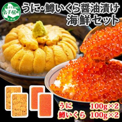 ふるさと納税 弟子屈町 ウニ 約200g 鱒いくら醤油漬け 約200g 2種 海鮮丼 北海道 弟子屈町 2940