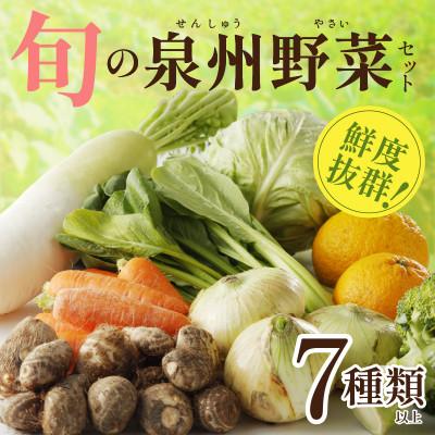 ふるさと納税 泉佐野市 旬の野菜セット 詰め合わせ 7種類以上 おまかせ