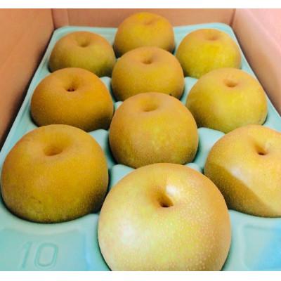 3300円 秀逸 ふるさと納税 長野県 8月中旬 9月中旬発送 旬の味をお届け 信州産 幸水 豊水のいずれかをお届け 約5キロ