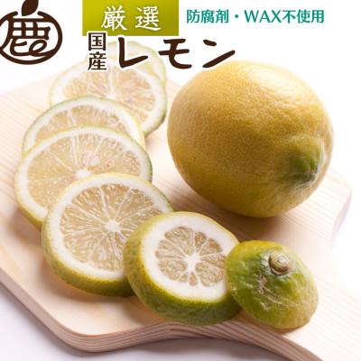 ふるさと納税 上富田町 レモン5kg+250g(傷み補償分)[和歌山有田産][防腐剤・WAX不使用、国産レモン]