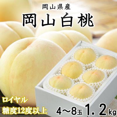 ふるさと納税 岡山市 [2026年7月上旬より順次発送]岡山白桃 ロイヤル 4〜8玉 1.2kg 岡山県産