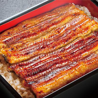 ふるさと納税 鹿屋市 【鹿児島産】地下水で育てた うなぎ 蒲焼 160g×2尾 1688|y-sf|03