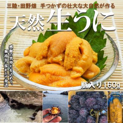 ふるさと納税 田野畑村 [予約・6月〜発送]岩手・三陸 小さな村のきれいな海で育った 新鮮 瓶入り 天然生うに(160g)