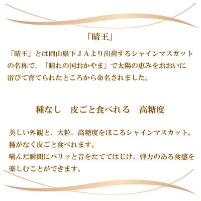 正規販売店舗 ふるさと納税 玉野市 【2024年発送】岡山県産　シャインマスカット　晴王　600g×1房