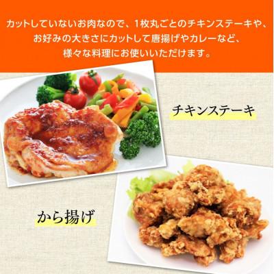 ふるさと納税 川南町 宮崎県産若鶏3種(小分けパック) 計4.5kg|y-sf|02