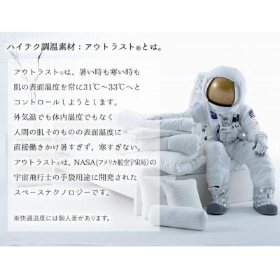 ふるさと納税 蒲郡市 「MINI」クールアウトラスト\u0026消臭達人 わんにゃんパッドL_【G0400】の画像
