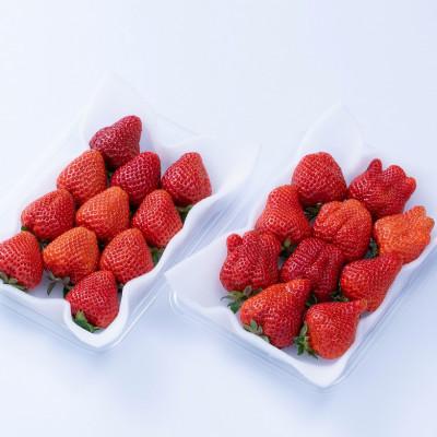 ふるさと納税 岡垣町 福岡産【春】あまおういちご約250g×4パック(岡垣町)|y-sf|02