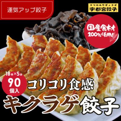ふるさと納税 宇都宮市 宇都宮餃子 運気アップ餃子 ちょう×3いい感じ餃子 合計90個 保存料不使用