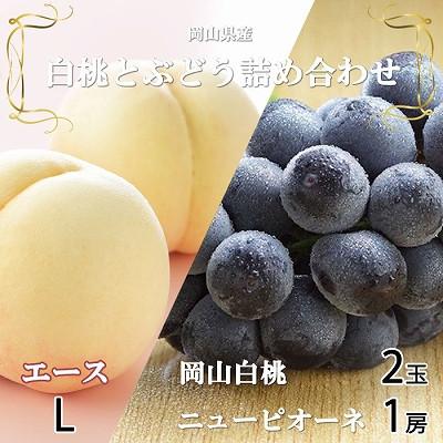 ふるさと納税 津山市 岡山県産 岡山白桃エースLサイズ200g×2玉・ニューピオーネ400g×1房 詰合せ