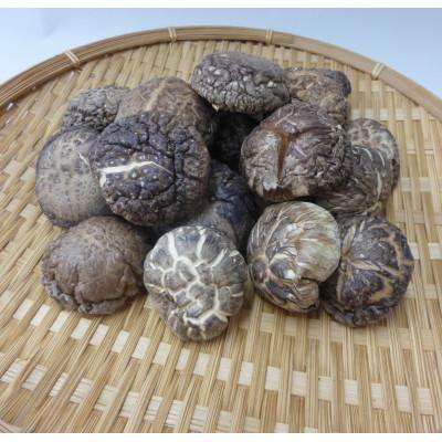 ふるさと納税 日向市 宮崎県産原木栽培乾しいたけ どんこ40g×6袋 計240g|y-sf|02
