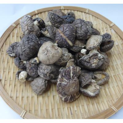 ふるさと納税 日向市 宮崎県産原木栽培乾しいたけ ふぞろいどんこ 55g×5袋 計275g|y-sf|02