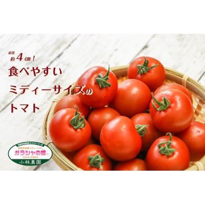 ふるさと納税 長岡京市 【長岡京市特産】ミディトマト(通称:ガラシャの瞳) 約2.4kg