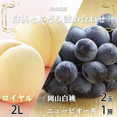 ふるさと納税 岡山市 岡山県産　岡山白桃ロイヤル2Lサイズ250g×2玉・ニューピオーネ500g×1房　詰合せ｜y-sf