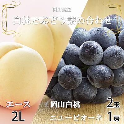 ふるさと納税 岡山市 岡山県産 岡山白桃エース2Lサイズ250g×2玉・ニューピオーネ500g×1房 詰合せ