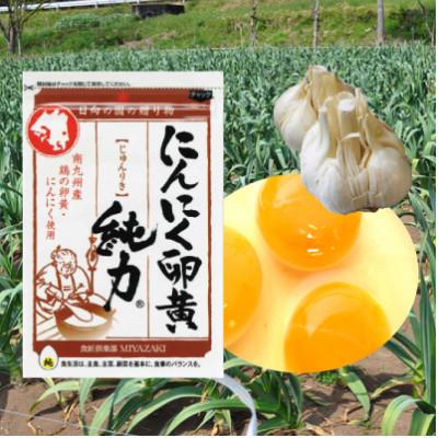 ふるさと納税 日向市 にんにく卵黄 純力 サプリメント〔35粒×4袋〕(約4か月分)