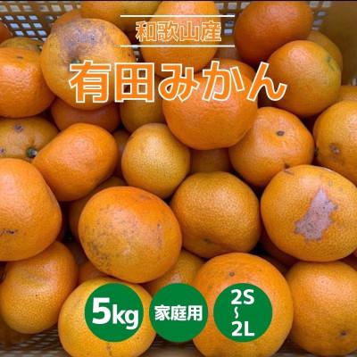 ふるさと納税 上富田町 和歌山県産 有田みかん 5kg 家庭用