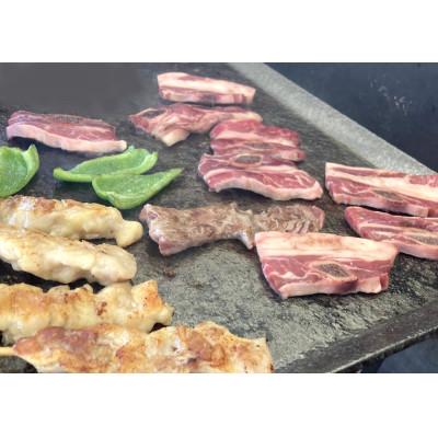ふるさと納税 南城市 あざまサンサンビーチのBBQ　沖縄県産アグーセット手ぶらプラン・ペア利用券 