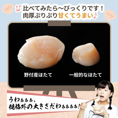 ふるさと納税 別海町 【禁輸に負けない】プレミアム ほたて貝柱1kg 北海道野付産だからこそ!驚くほどの贅沢サイズ 冷凍｜y-sf｜03