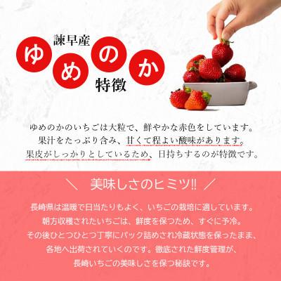 ふるさと納税 諫早市 【先行受付】みんなの夢が叶うおいしいイチゴ(ゆめのか)8パック|y-sf|02