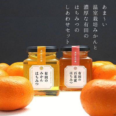 ふるさと納税 有田川町 夏の有田みかん(約1.5kg)と 有田のはちみつ( みかん蜂蜜・百花蜜 各210g) セットの画像