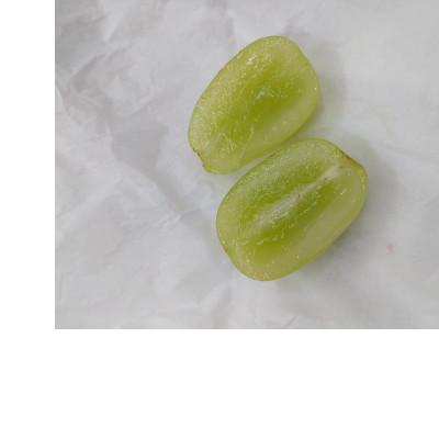 ふるさと納税 須坂市 田子農園の冷蔵シャインマスカット 約1.3kg(約2〜3房)2022年発送※11月上旬頃〜12月中旬|y-sf|03