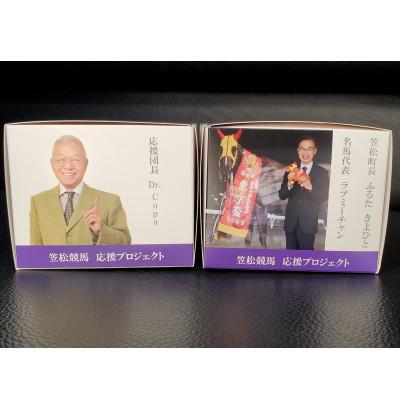 ふるさと納税 笠松町 開運!Dr.コパ風水×AlphaOne除菌剤「キヨメール」笠松競馬応援プロジェクト｜y-sf｜02