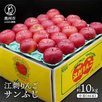 ふるさと納税 奥州市 江刺りんご サンふじ 小玉 約10kg(46玉) [AQ028]