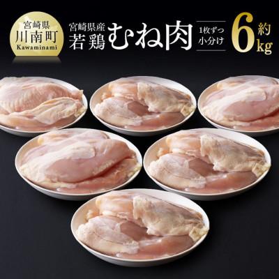ふるさと納税 川南町 宮崎県産鶏むね肉 約6kg(1枚ずつ小分けのセット)