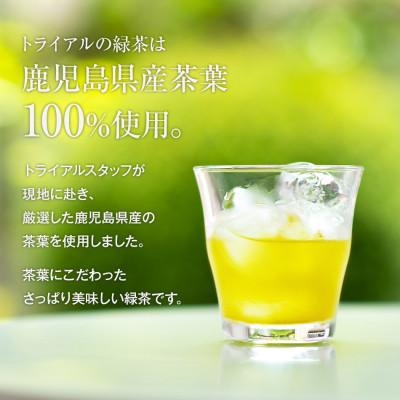 ふるさと納税 田川市 トライアルのお茶飲み比べセット(緑茶2L×6本
