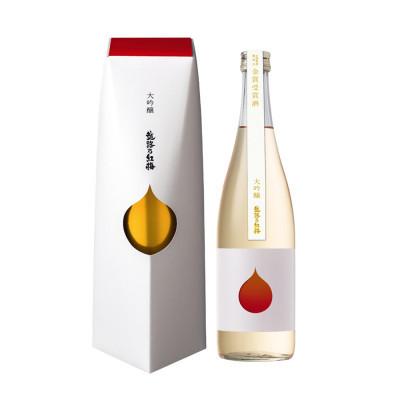 ふるさと納税 上越市 越路乃紅梅 大吟醸 720ml