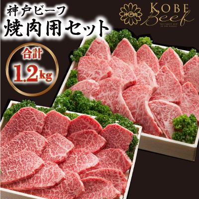 ふるさと納税 朝来市 神戸ビーフ ASGYS5 焼肉用セット