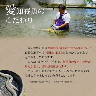 ふるさと納税 西尾市 【定期便】三河産うなぎ「超特大蒲焼き2尾」×6回(隔月1回　1年間)・A133-102｜y-sf｜03