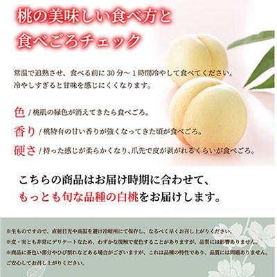 ふるさと納税 井原市 岡山白桃 エース 4〜6玉 1kg 岡山県産_3