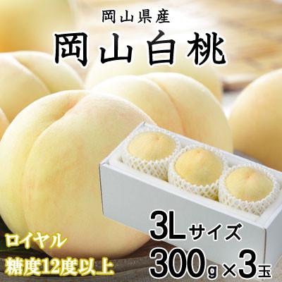 ふるさと納税 井原市 岡山白桃 ロイヤル 3玉×300g(3Lサイズ) 岡山県産