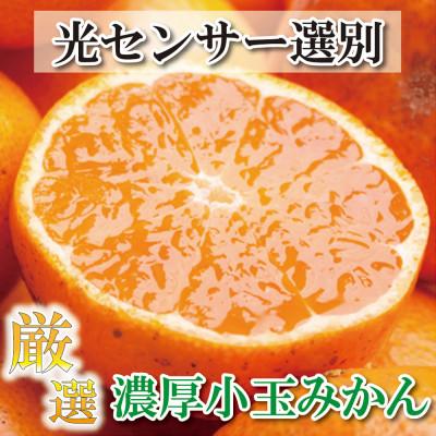 ふるさと納税 那智勝浦町 [2024年11月より発送]厳選 小玉な有田みかん3.5kg+105g(傷み補償分)[光センサー]