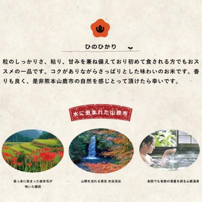 ふるさと納税 山鹿市 【令和4年産新米受付】【食味ランキング特A獲得】熊本県産ヒノヒカリ 白米12kg|y-sf|04