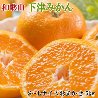 ふるさと納税 印南町 [産直・秀品]和歌山下津みかん約5kg(S〜Lサイズおまかせ)(印南町)