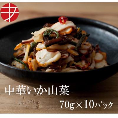 ふるさと納税 ひたちなか市 海の食堂　中華いか山菜　70g×10パック