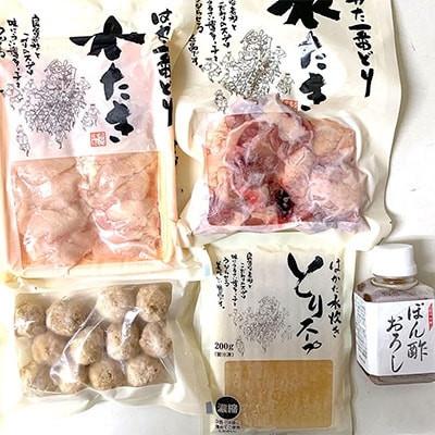 ふるさと納税 大川市 はかた一番どり 水炊きセット(2〜3人前)(大川市)|y-sf|02