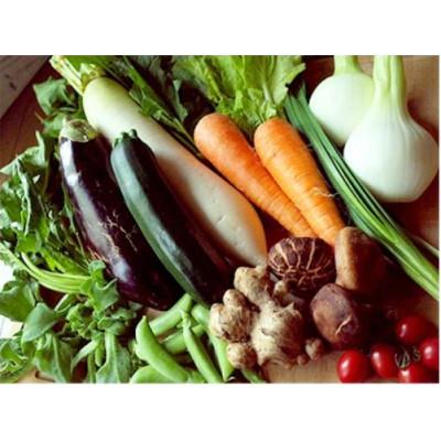 ふるさと納税 香美市 旬の野菜の詰め合わせと栽培期間中に農薬不使用の生姜200g付き