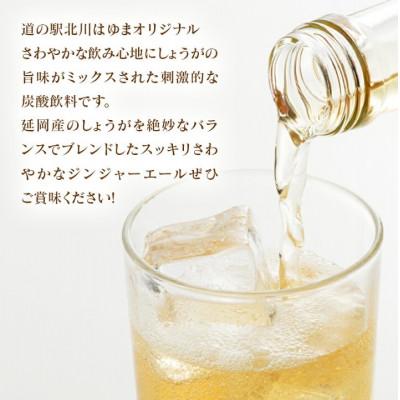 ふるさと納税 延岡市 【のべおか道の駅オリジナル】のべおかジンジャーエール24本 