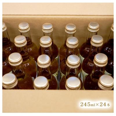 ふるさと納税 延岡市 【のべおか道の駅オリジナル】のべおかジンジャーエール24本 