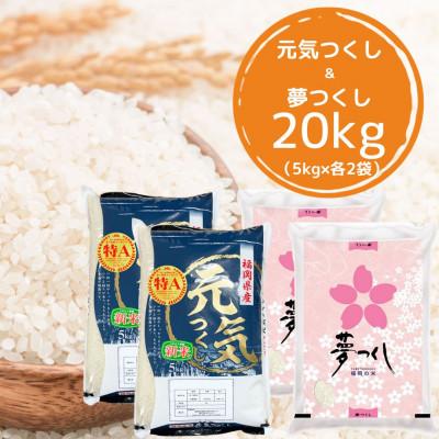 ふるさと納税 添田町 [令和7年産]福岡県産米食べ比べ<白米>「夢つくし」と「元気つくし」セット 計20kg添田町