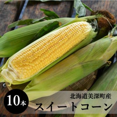 ふるさと納税 美深町 [2024年発送]とうもろこし(スイートコーン)10本 北海道美深町産